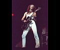 Ted Nugent 1981