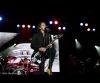Rick Springfield