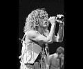 The Who
