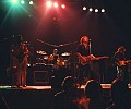 Bruce Springsteen 1978